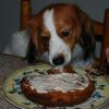 Kash 1 year birthday