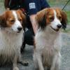 Kash and Apollo brothers. Both live in the same town by coincidence only. Totally too cool.