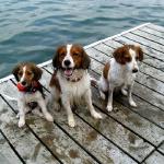 Little Duncan, Happy Evan, and Grandma Halle love spending time at the lake