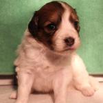 Jackie 2 weeks girl
