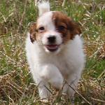 Marlon 7 weeks
