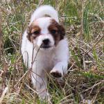 Germaine 7 weeks 2