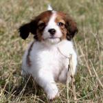 Jackie 7 weeks 2
