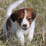 Jackie 7 weeks