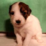 Marlon 2 weeks girl