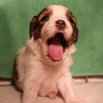 Germaine 2 weeks girl