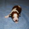 Ben one week old