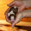 Ben just born.