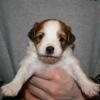 Just so precious and sweet Ben at 3 weeks old.