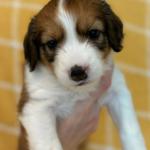 Natalie Portman 5 weeks