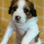 Winona Ryder 5 weeks