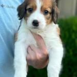 Natalie Portman 6 weeks