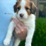 Winona Ryder 6 weeks 
